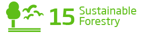 An image of the 15th Sustainability Goal, 'Sustainable Forestry'