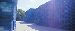 A photograph of hundreds of blue stacked CHEP pallets in rows in an outside environment