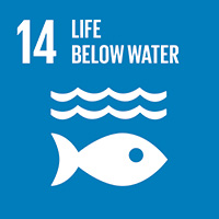 An image of the 14th Sustainability Goal, 'Life Below Water'
